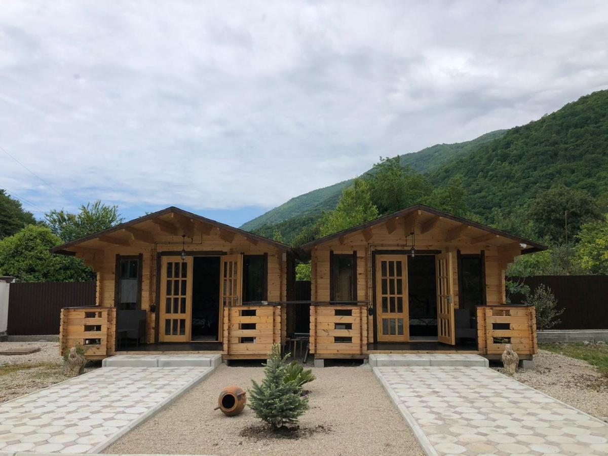 Olginka Villa Gagra Exteriör bild