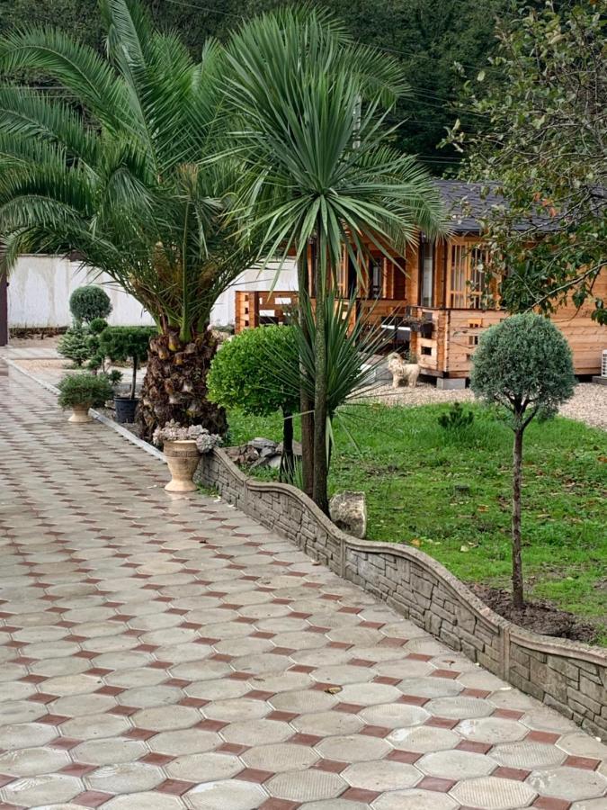 Olginka Villa Gagra Exteriör bild