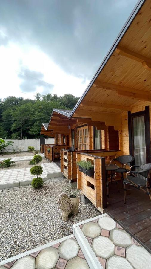 Olginka Villa Gagra Exteriör bild
