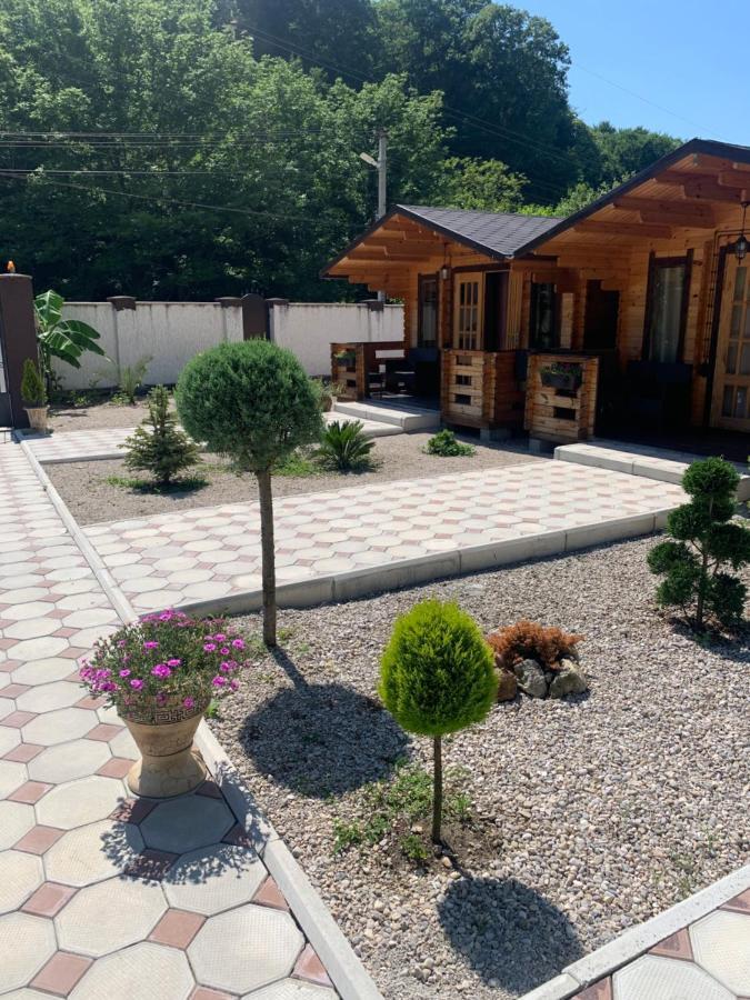 Olginka Villa Gagra Exteriör bild